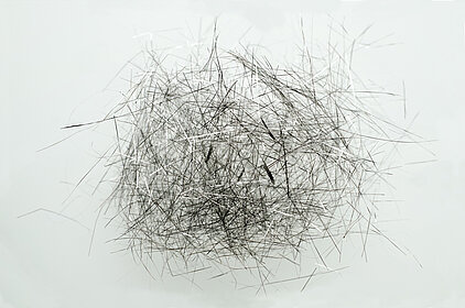 Fotostacking Stainless-Steel-Fasern