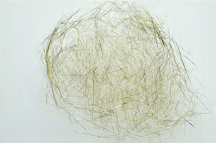 Fotostacking Gold-Fasern